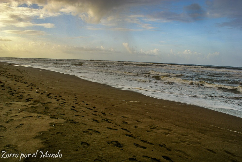 Playa Tortuguero